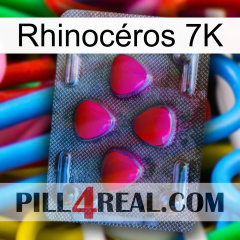 Rhinocéros 7K 13